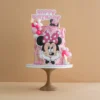Minnie Mouse – Pink Birthday Cake