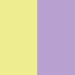 Yellow (Base) & Purple (Accents)