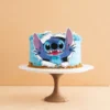 Stitch Cake