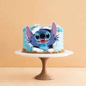 Stitch Cake